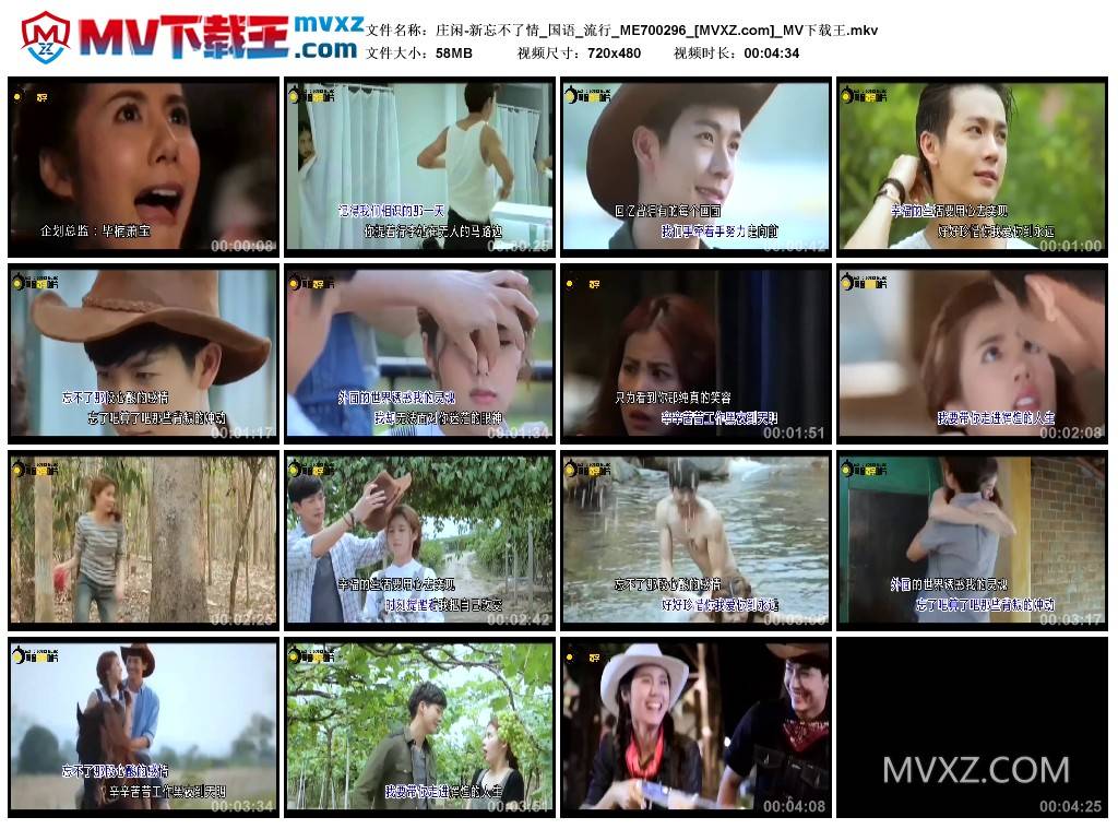 庄闲-新忘不了情_国语_流行_ME700296